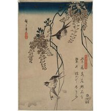 歌川広重: Swallows and Wisteria, from the series Japanese and Chinese Poems for Recitation (Wakan rôeishû) - ボストン美術館