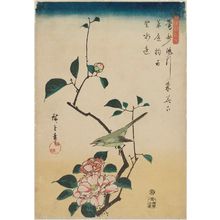 Utagawa Hiroshige: Warbler and Camellia, from the series Japanese and Chinese Poems for Recitation (Wakan rôeishû) - Museum of Fine Arts