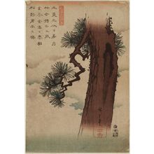 歌川広重: Pine Tree, from the series Japanese and Chinese Poems for Recitation (Wakan rôeishû) - ボストン美術館