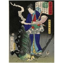 Tsukioka Yoshitoshi: Fujinami Yukarinosuke, from the series Sagas of Beauty and Bravery (Biyû Suikoden) - Museum of Fine Arts
