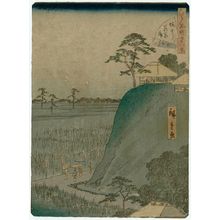 二歌川広重: No. 16, Irises at Horikiri (Horikiri hanashôbu), from the series Forty-Eight Famous Views of Edo (Edo meisho yonjûhakkei) - ボストン美術館