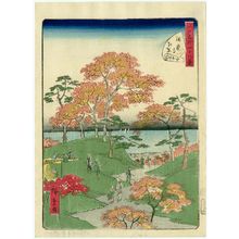 二歌川広重: No. 37, Red Maple Leaves at Kaian-ji Temple (Kaian-ji kôyô), from the series Forty-Eight Famous Views of Edo (Edo meisho yonjûhakkei) - ボストン美術館