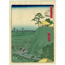 Utagawa Hiroshige II: No. 16, Irises at Horikiri (Horikiri hanashôbu), from the series Forty-Eight Famous Views of Edo (Edo meisho yonjûhakkei) - Museum of Fine Arts