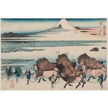 葛飾北斎: The Paddies of Ôno in Suruga Province (Sunshû Ôno-shinden), from the series Thirty-six Views of Mount Fuji (Fugaku sanjûrokkei) - ボストン美術館