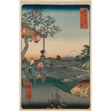 Utagawa Hiroshige: Fuji-view Teahouse at Zôshigaya (Zôshigaya Fujimi chaya), from the series Thirty-six Views of Mount Fuji (Fuji sanjûrokkei) - Museum of Fine Arts