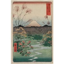 Utagawa Hiroshige: Ôtsuki Plain in Kai Province (Kai Ôtsuki no hara), from the series Thirty-six Views of Mount Fuji (Fuji sanjûrokkei) - Museum of Fine Arts