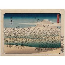Utagawa Hiroshige: Musashi Plain (Musashino), from the series Thirty-six Views of Mount Fuji (Fuji sanjûrokkei) - Museum of Fine Arts