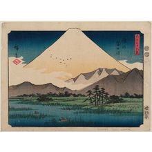 歌川広重: Fuji Marsh in Suruga Province (Suruga Fujinuma), from the series Thirty-six Views of Mount Fuji (Fuji sanjûrokkei) - ボストン美術館