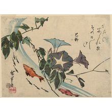 Utagawa Hiroshige: Goldfish, Killifish, and Morning Glories - Museum of Fine Arts