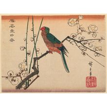 Utagawa Hiroshige: Macaw on Plum Branch - Museum of Fine Arts