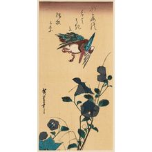 Utagawa Hiroshige: Kingfisher and Bellflowers - Museum of Fine Arts