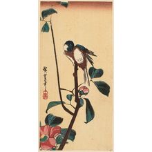 Utagawa Hiroshige: Bird on Camellia Branch - Museum of Fine Arts