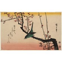 歌川広重: Warbler on Red Plum Branch - ボストン美術館