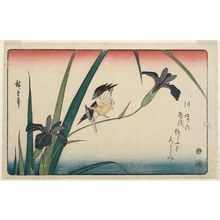 Utagawa Hiroshige: Kingfisher and Iris - Museum of Fine Arts