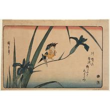 Utagawa Hiroshige: Kingfisher and Iris - Museum of Fine Arts