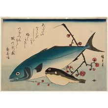 Utagawa Hiroshige: Yellowtail, Blowfish, and Plum Blossoms, from an untitled series known as Large Fish - Museum of Fine Arts