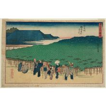 Utagawa Hiroshige: The Naniwaya Pine in Adachi-chô (Adachi-chô Naniwaya no matsu), from the series Famous Views of Osaka (Naniwa meisho zue) - Museum of Fine Arts