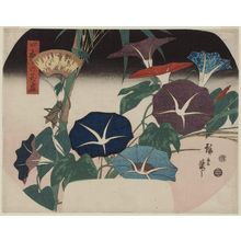 Japanese Print "Morning Glories and Cricket, from the series A Compendium of Flowers of the Four Seasons (Shiki no hana zukushi)" by Utagawa Hiroshige, 歌川広重 (Utagawa Hiroshige I)