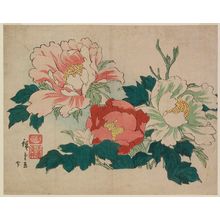 Utagawa Hiroshige II: Peonies - Museum of Fine Arts