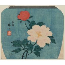 Utagawa Hiroshige: Peonies - Museum of Fine Arts