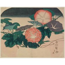 Japanischer Druck "Morning Glories" von Utagawa Hiroshige, 歌川広重 (Utagawa Hiroshige I)