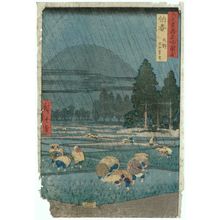 Utagawa Hiroshige: Hôki Province: Ôno, Distant View of Mount Daisen (Hôki, Ôno, Daisen enbô), from the series Famous Places in the Sixty-odd Provinces [of Japan] ([Dai Nihon] Rokujûyoshû meisho zue) - Museum of Fine Arts