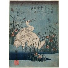 Utagawa Hiroshige: White Herons and Iris - Museum of Fine Arts
