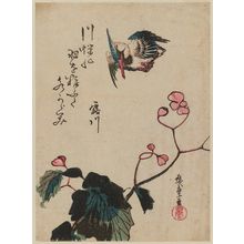 Utagawa Hiroshige: Kingfisher and Begonia - Museum of Fine Arts