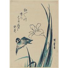 Utagawa Hiroshige: Sparrow and Iris - Museum of Fine Arts