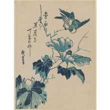 Utagawa Hiroshige: Bird and Hibiscus - Museum of Fine Arts