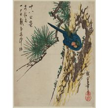 Utagawa Hiroshige: Bird in Pine Tree - Museum of Fine Arts