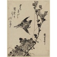 Utagawa Hiroshige: Kingfisher and Wild Chrysanthemums - Museum of Fine Arts
