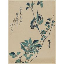 Utagawa Hiroshige: Kingfisher and Clematis - Museum of Fine Arts