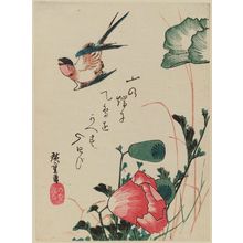Utagawa Hiroshige: Swallow and Poppies - Museum of Fine Arts