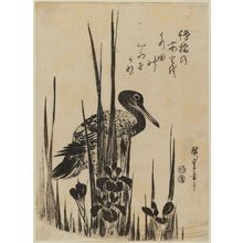 Utagawa Hiroshige: Waterrail and Iris - Museum of Fine Arts