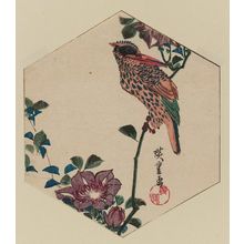 Utagawa Hiroshige: Kingfisher and Clematis in Hexagonal Shape - Museum of Fine Arts