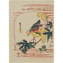 歌川広重: Kingfisher and Hibiscus in Fan Shape - ボストン美術館