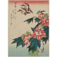 Utagawa Hiroshige: Sparrows, Kingfisher, and Hibiscus - Museum of Fine Arts