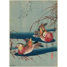 歌川広重: Mandarin Ducks - ボストン美術館