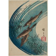 Utagawa Hiroshige: Sweetfish Swimming in a Clear Stream - Museum of Fine Arts