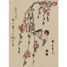 Utagawa Hiroshige: Bird and Peach Blossoms - Museum of Fine Arts