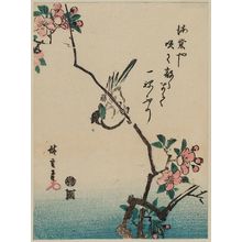 Utagawa Hiroshige: Bird on Aronia Branch - Museum of Fine Arts