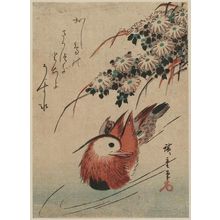 Utagawa Hiroshige: Mandarin Ducks - Museum of Fine Arts