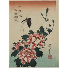 Utagawa Hiroshige: Butterfly and Peonies - Museum of Fine Arts
