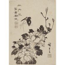 Utagawa Hiroshige: Butterfly and Peonies - Museum of Fine Arts