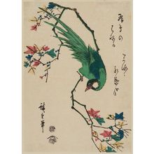 Utagawa Hiroshige: Green Pheasant on Maple Branch - Museum of Fine Arts