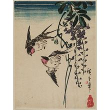 Utagawa Hiroshige: Swallows and Wisteria - Museum of Fine Arts