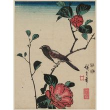 Utagawa Hiroshige: Bird on Camellia Branch - Museum of Fine Arts