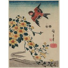 Utagawa Hiroshige: Yamabuki and Sparrow - Museum of Fine Arts