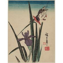 Utagawa Hiroshige: Kingfisher and Iris - Museum of Fine Arts